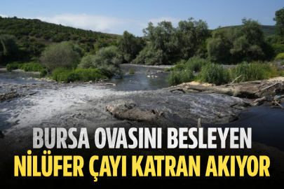 Bursa'da 30 yılın bitmeyen çilesi...Balıklar ölüyor, Nilüfer Çayı zehir akıyor