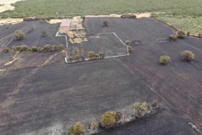 Bir ayda 132 yangın: 2 bin 625 futbol sahası büyüklüğünde orman yok oldu