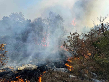 Bursa’da korkutan orman yangını