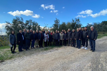 Dünya zeytin ağacı günü’nde Bursa’da zeytinlikler için çarpıcı mesaj: “Kıymayın, Dokunmayın!”