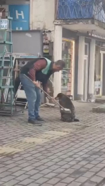 Bursa’da iç ısıtan görüntüler