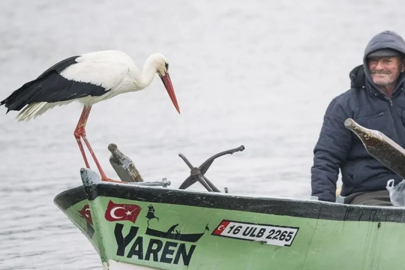 Yaren Leylek Önce Yengeyi Gönderdi...